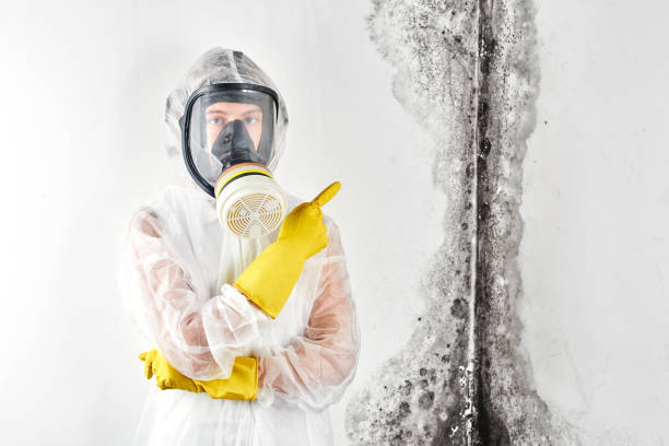 Best Commercial Mold Inspection  in Beverly Hills, CA