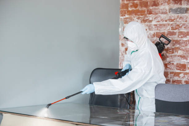 Mold Documentation for Insurance Claims in Beverly Hills, CA