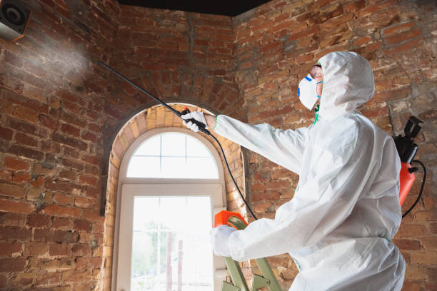 Best Comprehensive Air Testing for Mold Contaminants  in Beverly Hills, CA