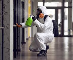 Best Black Mold Removal  in Beverly Hills, CA